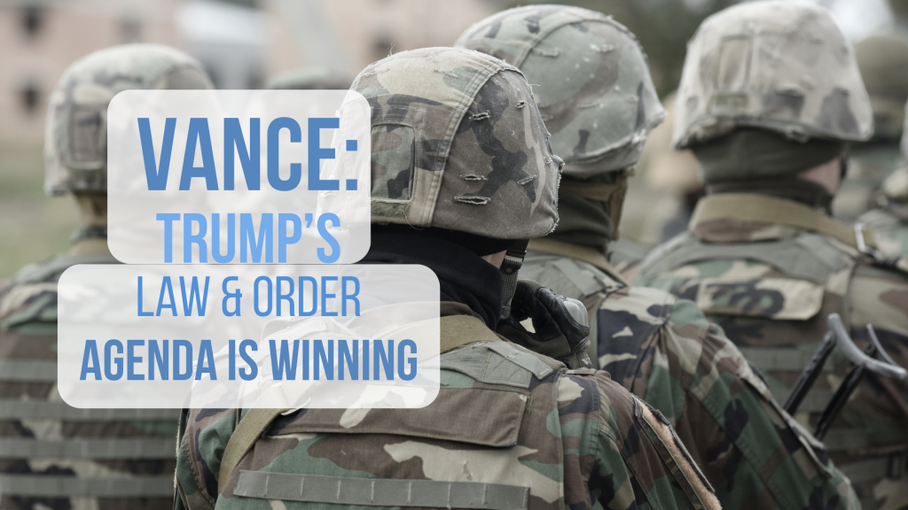 Vance Trump agenda